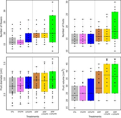 Synergistic interplay between arbuscular mycorrhizal fungi and fern manure compost tea suppresses common tomato phytopathogens and pest attacks on-farm